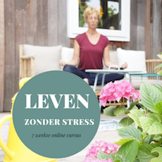 Leven zonder stress